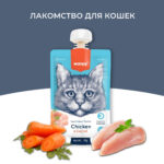 Изображение товара Wanpy Cat Лакомство для кошек Мясное пюре из курицы 90 г