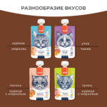 Изображение товара Wanpy Cat Лакомство для кошек Мясное пюре из лосося 90 г