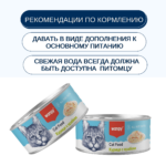Изображение товара Wanpy Cat Консервы для кошек «Кусочки курицы и краб» 95 г