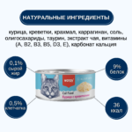Изображение товара Wanpy Cat Консервы для кошек «Кусочки курицы и креветки» 95 г
