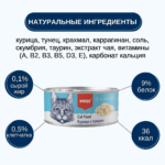 Изображение товара Wanpy Cat Консервы для кошек «Кусочки курицы и тунец» 95 г